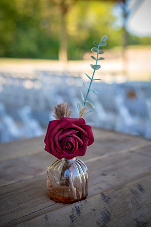 Jessica & Jacob's Wedding - DSC_5909 - 09-13-2025